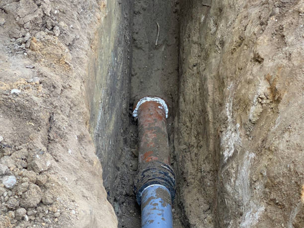 Best Flood damage cleanup  in Long Branch, VA