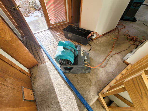 Best Water damage contractors near me  in Long Branch, VA
