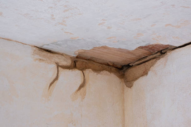 Best Ceiling water damage repair  in Long Branch, VA