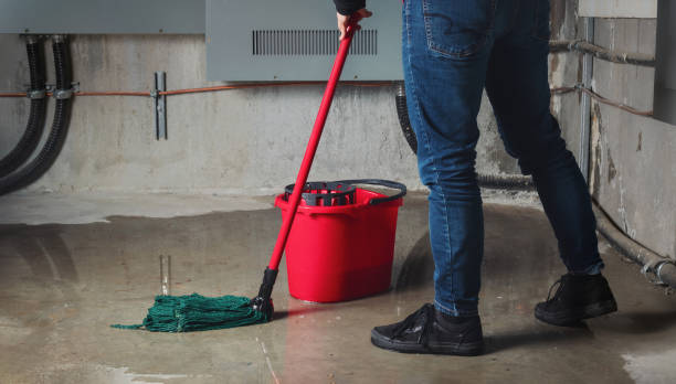 Best Carpet water damage restoration  in Long Branch, VA