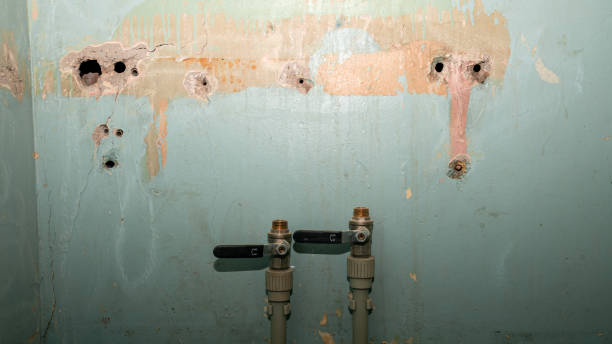  Long Branch, VA Water damage restoration Pros