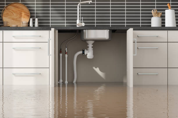 Best Water damage contractors near me  in Long Branch, VA