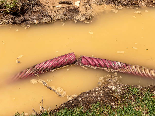 Best 24/7 water damage repair  in Long Branch, VA