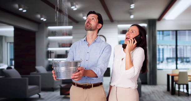 Best Water damage cleanup near me  in Long Branch, VA